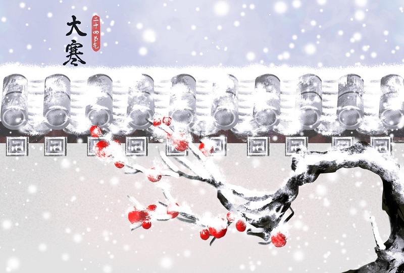 大寒：冬將盡，花可期，共盼春來(lái)