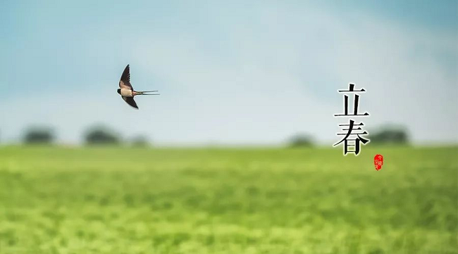 華邦瀛節(jié)氣特輯 | 立春，一年最美好的開始